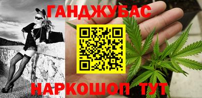 СК Кингисепп