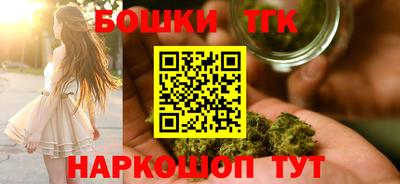 СК Кингисепп