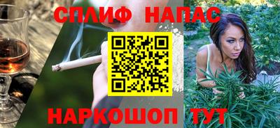 СК Кингисепп
