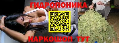 СК Кингисепп