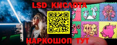 СК Кингисепп